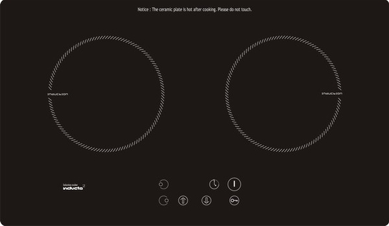 two zone induction cooker